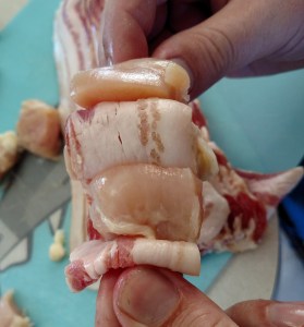 IMG_20150712_180402837